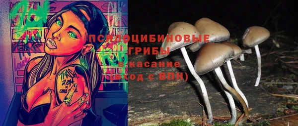 стафф Кукмор