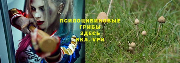стафф Кукмор