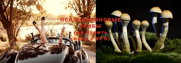 стафф Кукмор