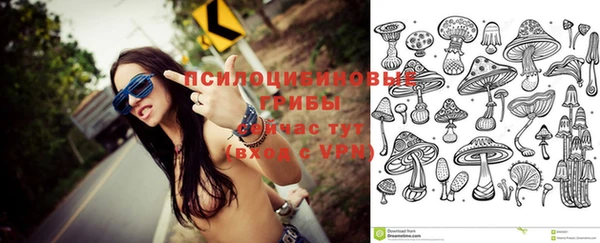 а пвп мука Куйбышев