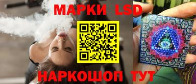 дмт Гатчина