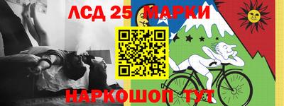 дмт Гатчина