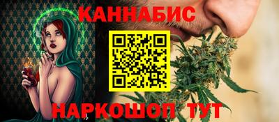 крисы Гагарин