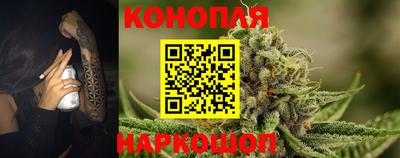 дмт Гатчина