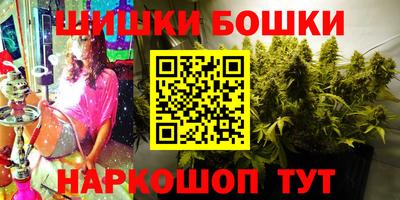 дмт Гатчина