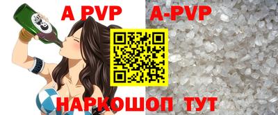 крисы Гагарин