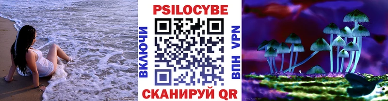 Галлюциногенные грибы Psilocybine cubensis  Новочеркасск 