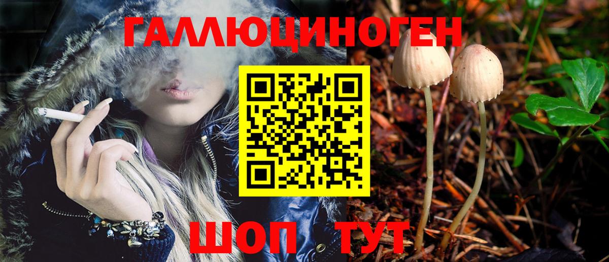 Псилоцибиновые грибы GOLDEN TEACHER Новочеркасск